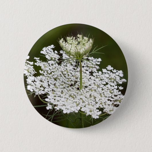 Koningin Ann's Lace Ronde Button 5,7 Cm (Voorkant)