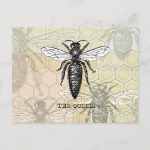 Koningin Bij Insect Antieke Illustratie Briefkaart