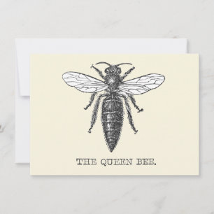 Koningin Bij Insect Antieke Illustratie Kaart