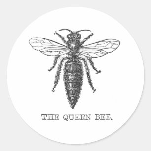 Koningin Bij Insect Antieke Illustratie Ronde Sticker