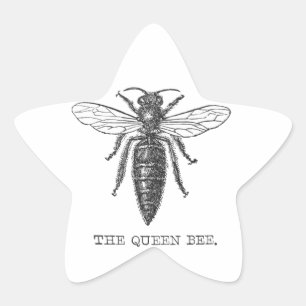 Koningin Bij Insect Antieke Illustratie Ster Sticker