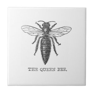 Koningin Bij Insect Antieke Illustratie Tegeltje