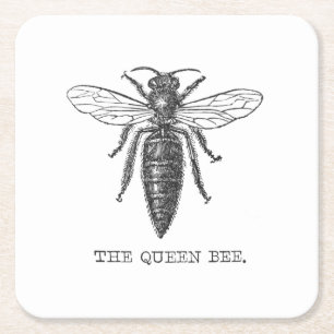 Koningin Bij Insect Antieke Illustratie Vierkante Kartonnen Onderzetter