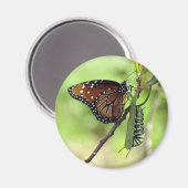 Koningin Butterfly en Monarch Caterstyle Magneet (Voorkant / Achterkant)