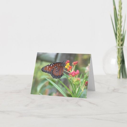 Koningin Butterfly Notecard Kaart (Voorkant)