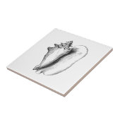 Koningin Conch (lijnkunst) Tegeltje (Zijkant)
