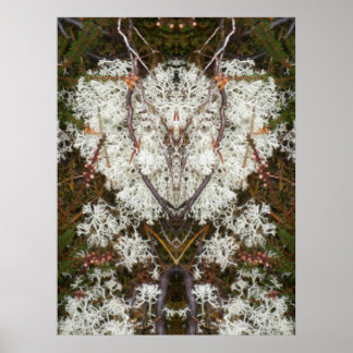 Koningin Elizabeth 1st Lichen Poster