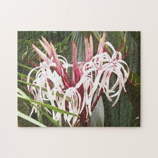 Koningin Emma Crinum Lilies Legpuzzel (Horizontaal)