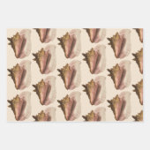 Koningin Hoornschelp Zeeschelp, Vintage Zeeleven Inpakpapier Vel (Voorkant 3)