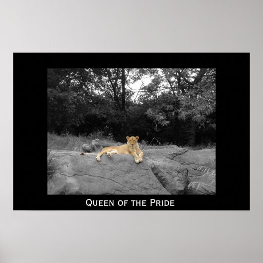 Koningin van de Pride Poster (Voorkant)