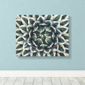 Koningin Victoria agave, afwisselend Canvas Afdruk (Insitu (Houten vloer))