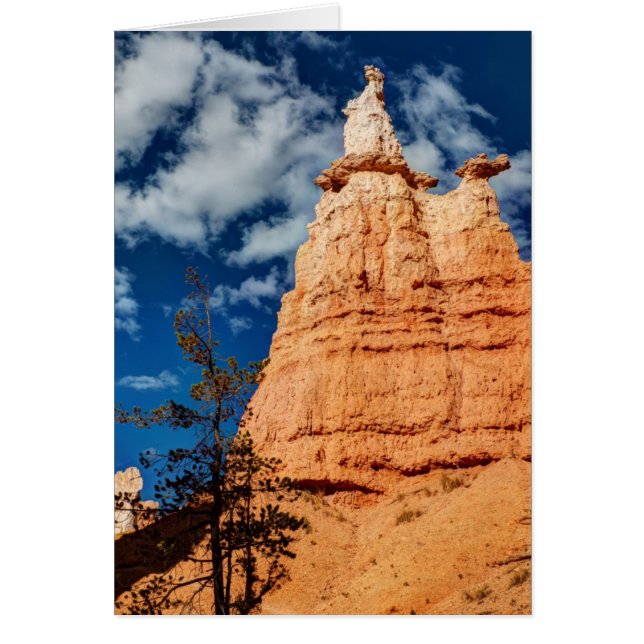 Koningin Victoria Queen's Garden Trail (Voorkant)