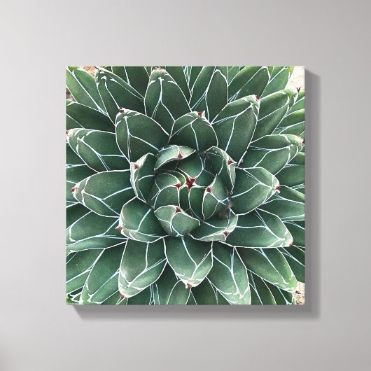 Koningin Victoria tegen canvasafdruk Canvas Afdruk (Voorkant)