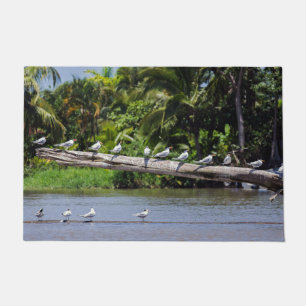 Koninginnenlampen, estuarium van de Tortuguero-riv Deurmat