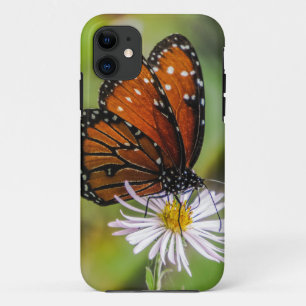 Koninginnenvlieg op bloem iPhone 11 hoesje