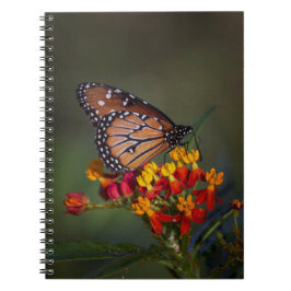 koninginnenvlinder op tropische moosenkroos notitieboek