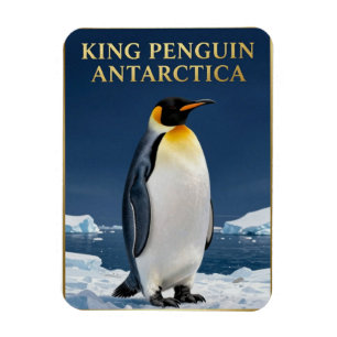 🐧 Koningspinguïn Antarctica Wilde dieren Magneet
