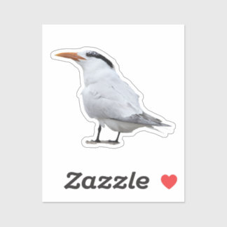 Koningsstern Sticker