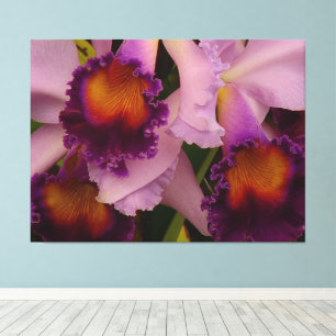 Koninklijk Paars Cattleya Orchid Canvas Afdruk