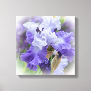 Koninklijke Baardiris - Paars & Wit Canvas Afdruk