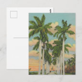 Koninklijke Palmen van Florida Briefkaart (Voorkant / Achterkant)