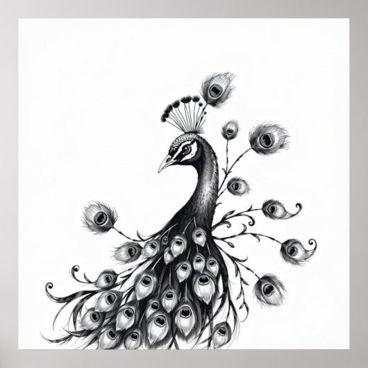 Koninklijke schoonheid: Peacock Charcoal Art Poster (Voorkant)