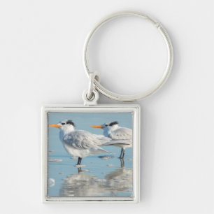 Koninklijke sterns op het strand sleutelhanger