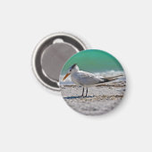 Koninklijke Tern Magnet Magneet (Voorkant / Achterkant)