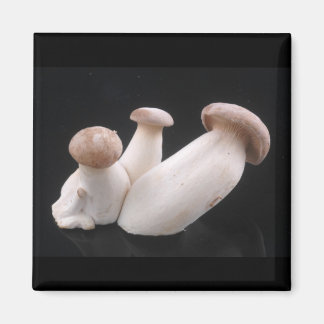 Koninklijke Trompet Mushroom Magneet