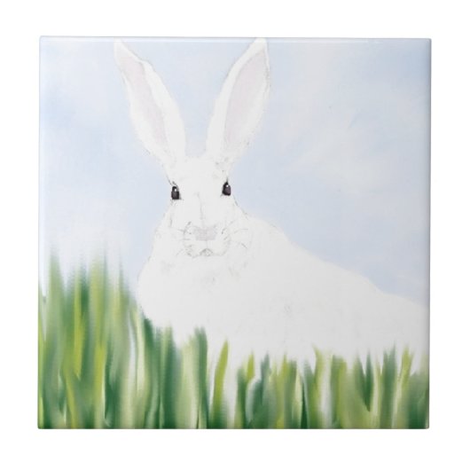 KONINKRIJK OP HET GEBIED TEGELTJE (Voorkant)