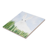 KONINKRIJK OP HET GEBIED TEGELTJE (Zijkant)