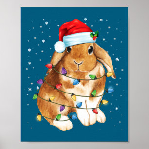 Konnekerstlichten Sinterhoed Grappig Kerstmis Poster