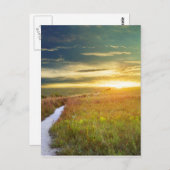 Konza Prairie Path Briefkaart (Voorkant / Achterkant)