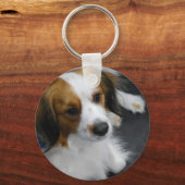 Kooikerhondje Dog Sleutelhanger (Voorkant)