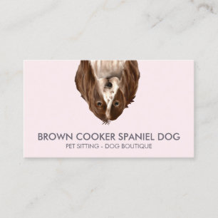 Kook Spaniel Hond Visitekaartje