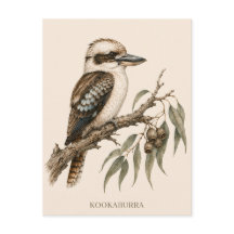 Kookaburra Ansichtkaart | Bush-editie