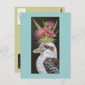 Kookaburra avec carte postale eucalyptus (Devant / Derrière)