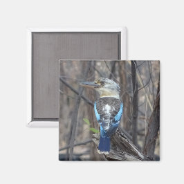 Kookaburra Bird Magneet
