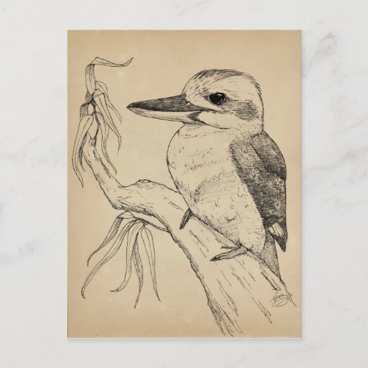 Kookaburra Briefkaart (Voorkant)