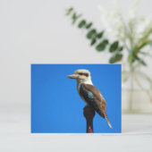 kookaburra briefkaart (Staand voorkant)