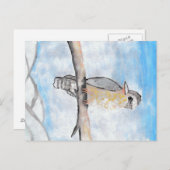 Kookaburra Briefkaart (Voorkant / Achterkant)