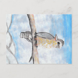 Kookaburra Briefkaart