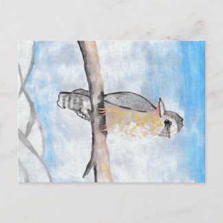 Kookaburra Briefkaart
