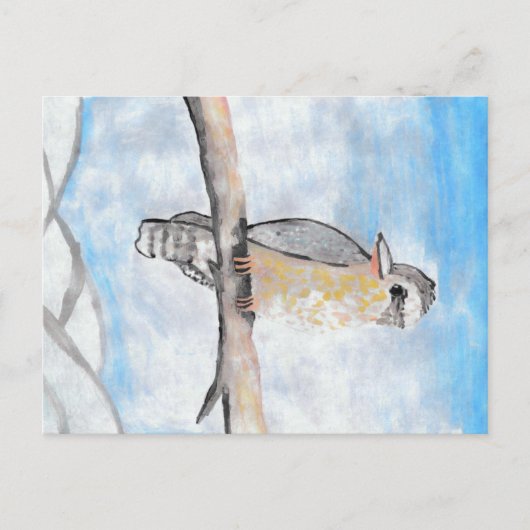 Kookaburra Briefkaart (Voorkant)