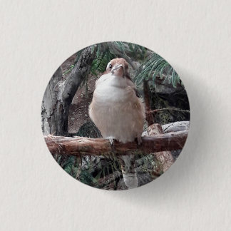 Kookaburra-Button Ronde Button 3,2 Cm