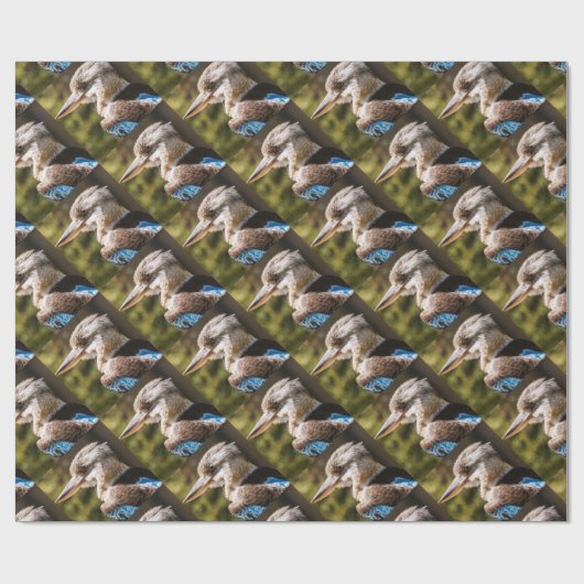 Kookaburra Cadeaupapier (Vlak)