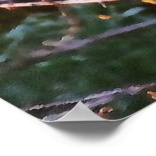 KOOKABURRA EST ASSIS.. Poster (Coin)