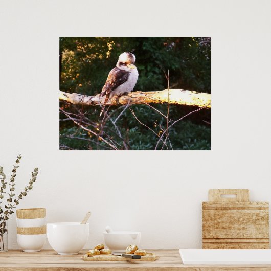 KOOKABURRA EST ASSIS.. Poster (Cuisine)