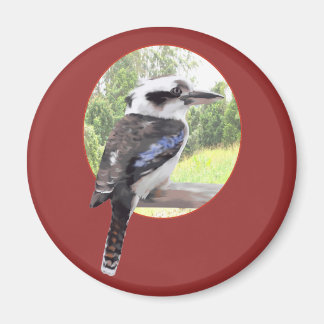 Kookaburra in cirkel magneet