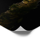 Kookaburra in de schijnwerpers poster (Hoek)